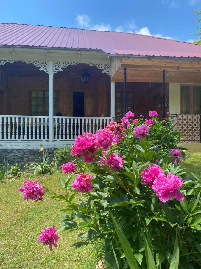 Guest House Lailashi Surmushi ภายนอก รูปภาพ