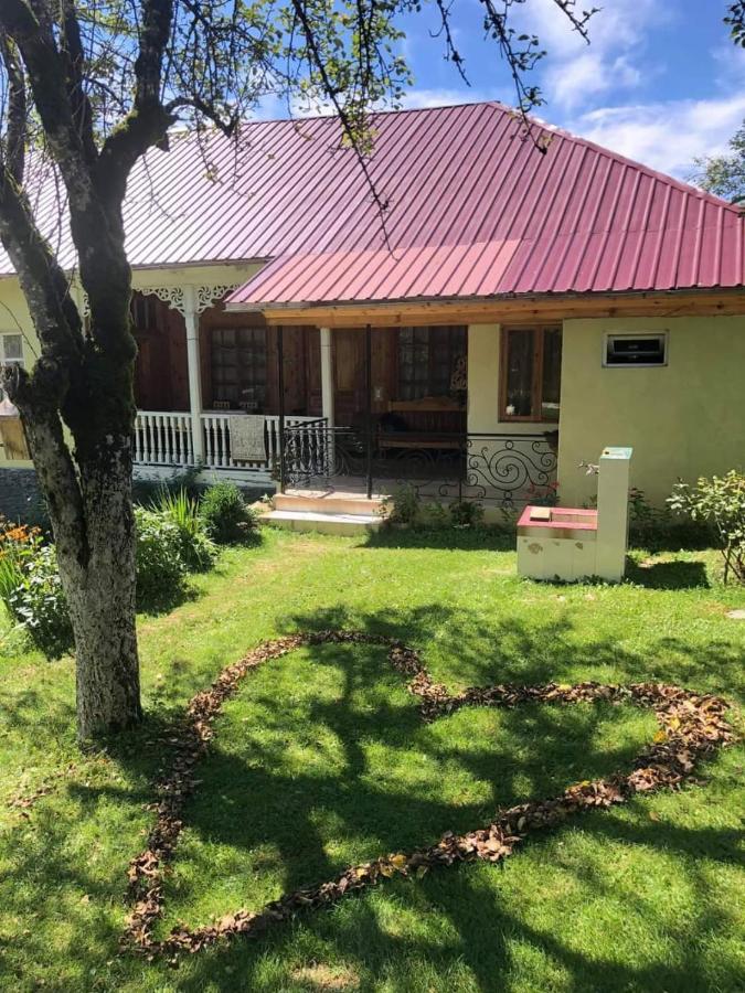 Guest House Lailashi Surmushi ภายนอก รูปภาพ