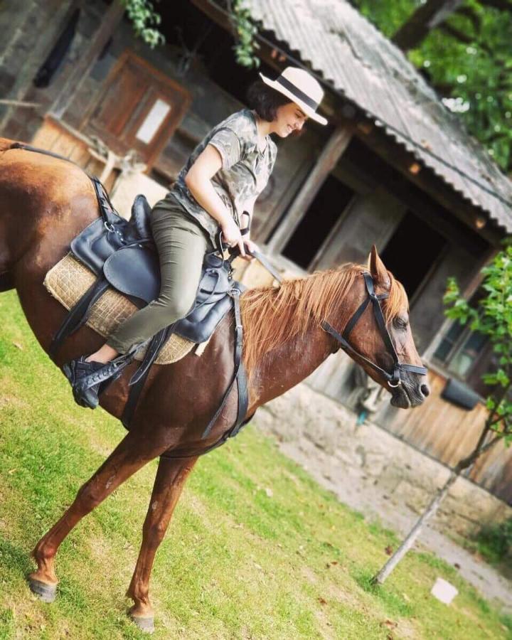Guest House Lailashi Surmushi ภายนอก รูปภาพ