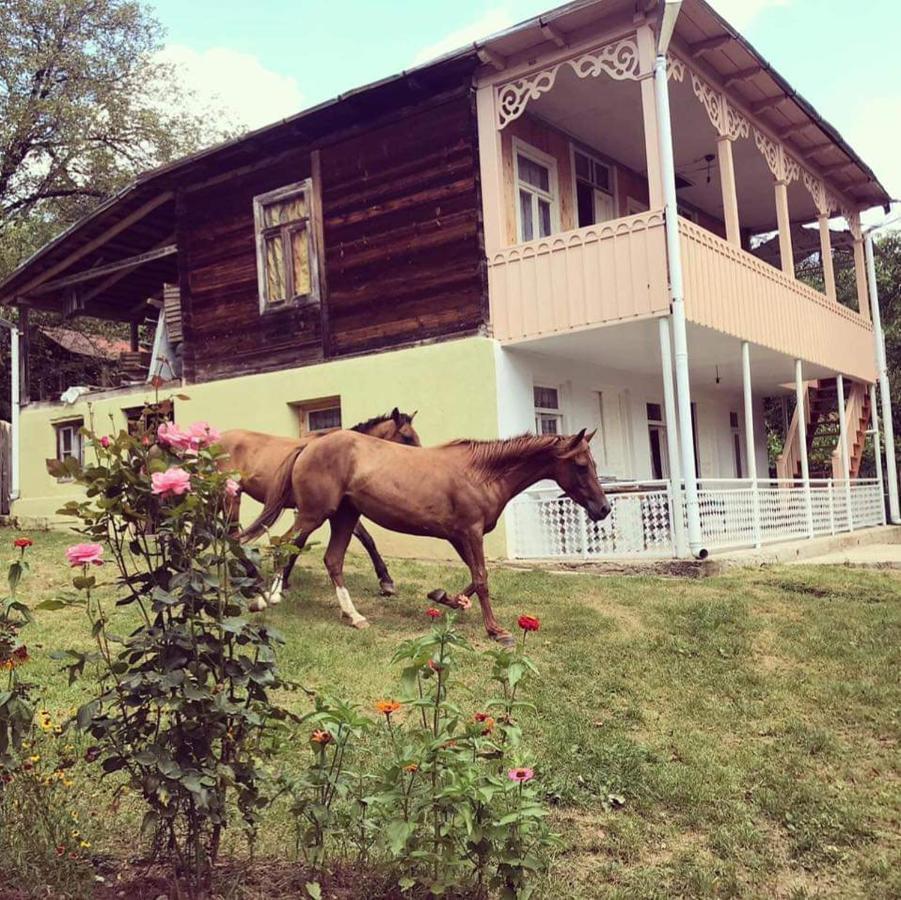 Guest House Lailashi Surmushi ภายนอก รูปภาพ